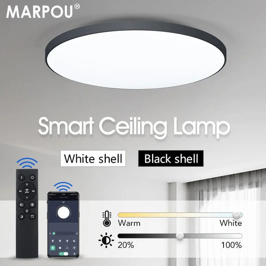 Led Pro Dynamic Lamp