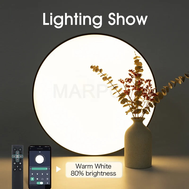 Led Pro Dynamic Lamp